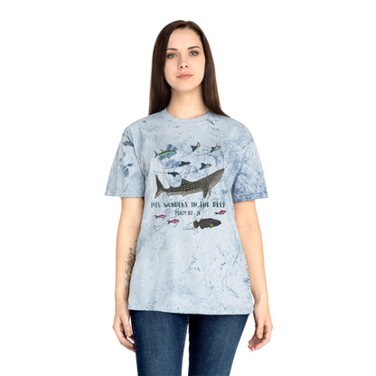 Whale Shark Bible Verse Tee. Christian Apparel. Color Blast Dye. Psalm 107:24.